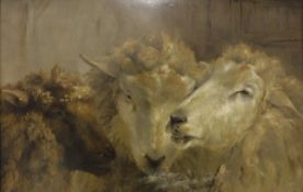 ATTRIBUTED TO RICHARD ANSDELL "Sheep study", study of three sheep heads IN THE MANNER OF LANDSEER,