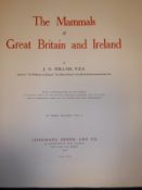 J G MILLAIS "The Mammals of Great Britain and Ireland", three volumes, published Longmanns & Co.
