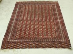 A Bokhara rug, the central panel set with repeating elephant foot medallions on a red ground,