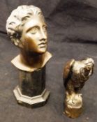 A bronze bust or head study of a young man in the Classical style,