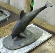 DAVID MCLEOD "Bottlenose dolphin",