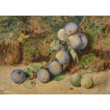 EMILY DOWN KELLEY "Plums on vine", watercolour, signed verso, dated 1888, together with A.