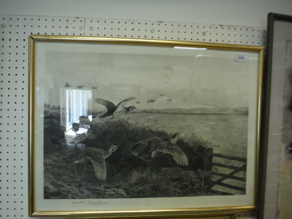 AFTER ARCHIBALD THORBURN "Partridges in flight", black and white print, signed in pencil lower left, - Image 2 of 11