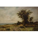 20TH CENTURY ENGLISH SCHOOL "Tree in landscape", oil on canvas,