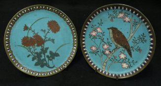 A Chinese cloisonné circular dish, the centre field decorated with bird amongst blossoming foliage,