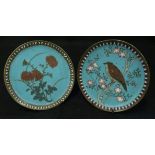 A Chinese cloisonné circular dish, the centre field decorated with bird amongst blossoming foliage,