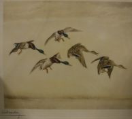 AFTER LEON DANCHIN (1887-1939) "Mallards in flight", colour print,