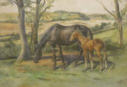 H J BUTLER "Horse and foal in a landscape",