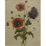 Six assorted botanical prints,