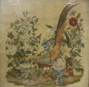 A Victorian needlework study in silk of a golden pheasant drinking water amongst foliage