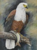 JEFF HUNTLEY (1931-2008) "African fish eagle with catch in its tallons perched upon a branch",