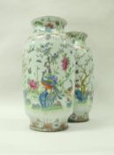 A pair of 19th Century Chinese famille verte and polychrome decorated vases,