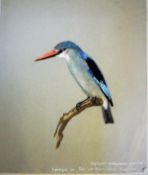 A folio containing 25 various watercolour studies of exotic birds, mainly 1930's,