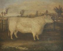J T GREATHEAD (19TH CENTURY) "Baron Wetherdy IX", srtudy of a white bull in field,