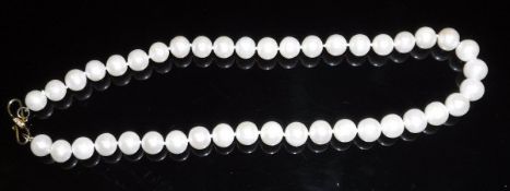 A single string of large fresh water pearls