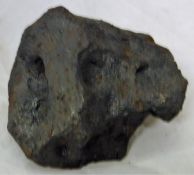 A nickel iron meteorite from Campo di Cielo, Argentina, fell to earth approx 4,000-5,