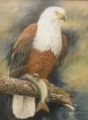 JEFF HUNTLEY (1931-2008) "African fish eagle with catch in its tallons perched upon a branch",