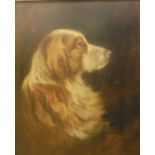 HAMILTON CHAPMAN "Spaniel head", oil on canvas, signed and dated 1901 lower right,