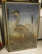 A stuffed and mounted Heron in naturalistic setting with flora and painted background,
