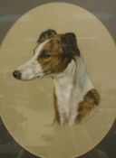 MARY BROWNING "Fly", study of a greyhound head, pastel, signed and dated '75,