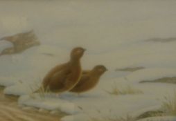 ANDREW STOCK - three watercolours of game birds to include a Snipe, a Woodcock and a pair of Grouse,