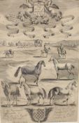 AFTER RICHARD BLOME - two 17th Century engravings entitled "Horsemanship Treats of Horses and their