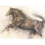 GARY BENFIELD (British 1965 -) "Study of a horse", oil, indistinctly signed lower left,