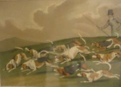 AFTER HENRY ALKEN - sixteen framed prints depicting various hunting,