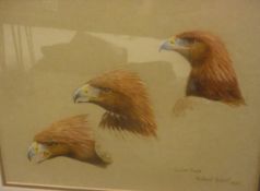 RICHARD ROBJENT "Golden Eagle", head studies, watercolour heightened with white, signed,