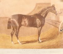 WITHDRAWN - AFTER J F HERRING "Velocipede", study of a racehorse in stables, aquatint,