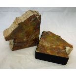 A pair of Triassic period fossilised agatised wood from Arizona USA sections as bookends