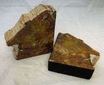 A pair of Triassic period fossilised agatised wood from Arizona USA sections as bookends