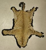 A Leopard skin rug - taxidermy