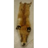 A Fox pelt stole bearing label "Nurse Manufacturing Furrier Oxford & Reading" (tail missing) -