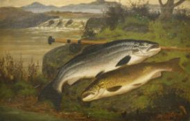 A ROWLAND KNIGHT "Two salmon on a riverbank", oil on canvas,