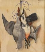 19TH CENTURY ENGLISH SCHOOL "Woodpecker & hanging game", still life trompe l'oeil study,