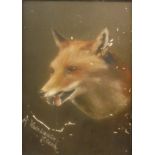 AFL "A Warwickshire friend", study of a fox, oil on board,