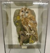 A stuffed and mounted Tawny Owl perched on a wooden moss covered stump,