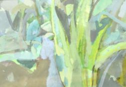 MARION ASHBURN "Sanse Vieria", watercolour,