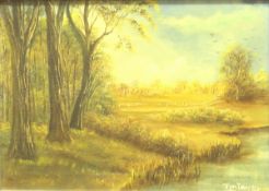 TERRY DEMPSEY "Woodland lanscape", oil on canvas, signed lower right,