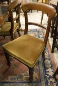 A set of six mahogany dining chairs with gold upholstered seats to turned and ringed front legs