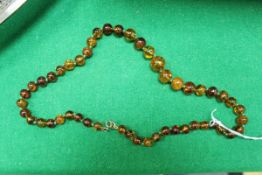 A graduated amber bead necklace, knotted 29.