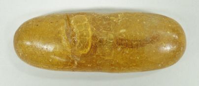 A large amber section of cabochon form, containing a centipede, approx 13 cm x 4.
