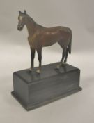 A circa 1900 cold painted bronze figure of a chestnut gelding on a wooden plinth base 14.