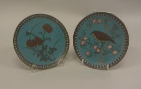 Two Chinese cloisonné shallow dishes, one decorated with a bird upon a blossoming branch,