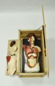 A circa 1900 painted anatomical model bearing label inscribed "Adam Rouilly & Co.