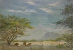 TIM SCOTT BOLTON "Shaba", a study of lions with antelope in the background, watercolour gouache,
