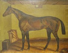 ENGLISH SCHOOL "Study of mare in stable" oil on canvas,