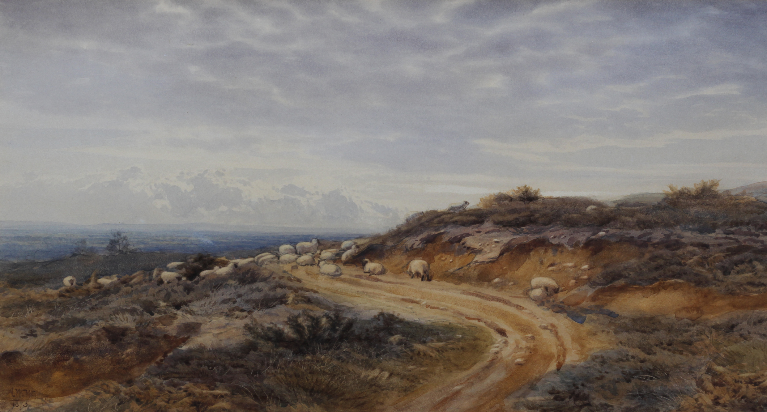 AUGUSTUS WALFORD WEEDON (1838-1908) Leith Hill, Surrey, sheep on a moorland track, watercolour,