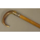 A GEORGE V GENTLEMAN'S TAPERED BAMBOO WALKING STICK with carved bent horn handle,